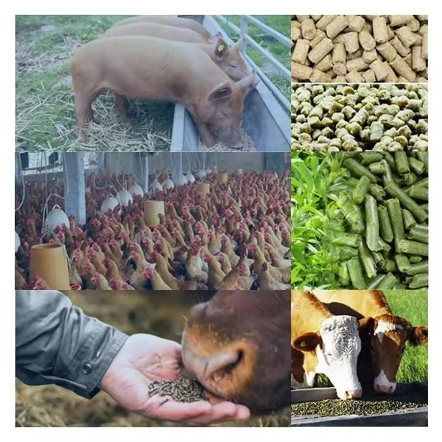 feedproductionline 8
