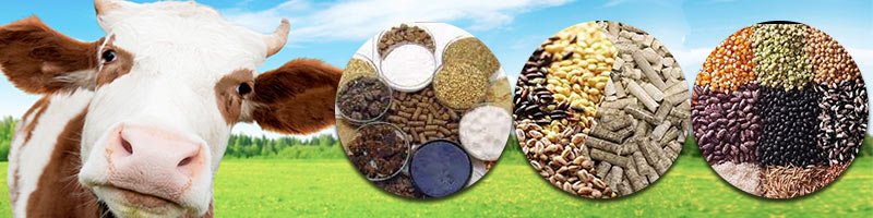 Aquatic Feed Production Line Manufacturer 5 Industrial hammer mill crusher for aquatic feed raw material processing
