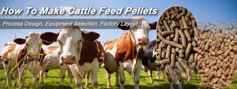 Industrial cattle feed pellet production line showing maintenance access points and critical wear components