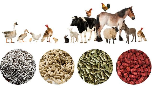 Custom pellet die specifications showing various hole diameters for different animal feed applications