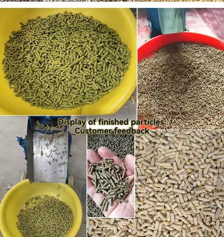 Modern biomass pellet production line in UK feed manufacturing facility