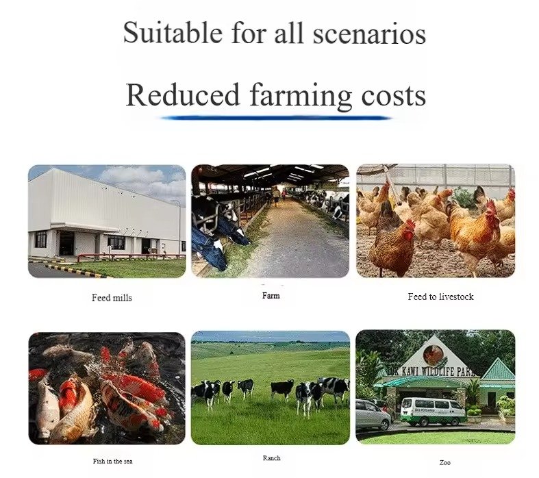 Poultry Feed Production Line