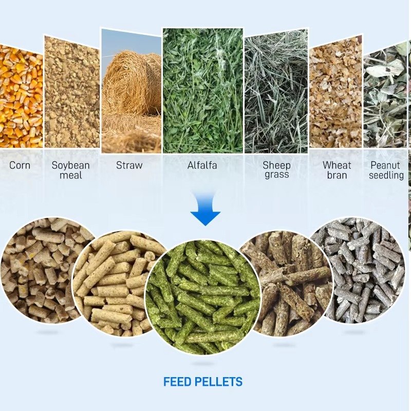 Benefits of Custom Feed Lines for Wholesalers