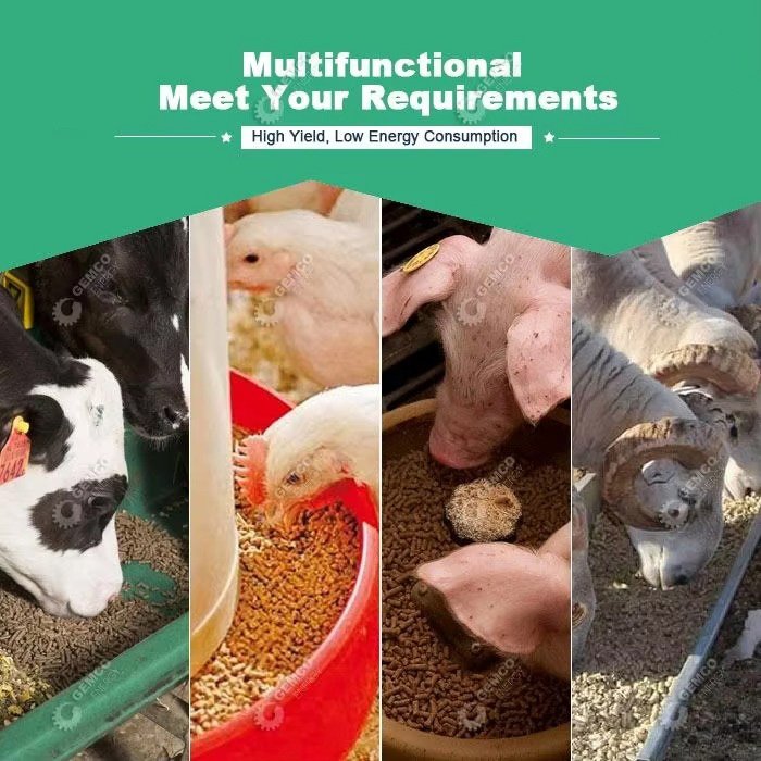 Modern pig feed production line facility with automated equipment