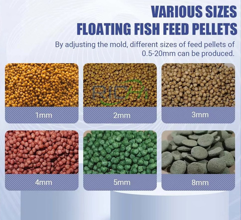 Modern fish feed production line facility showing industrial equipment and processing stations
