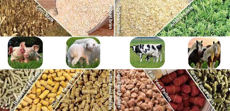 Modern poultry feed production line in operational UK feed mill facility