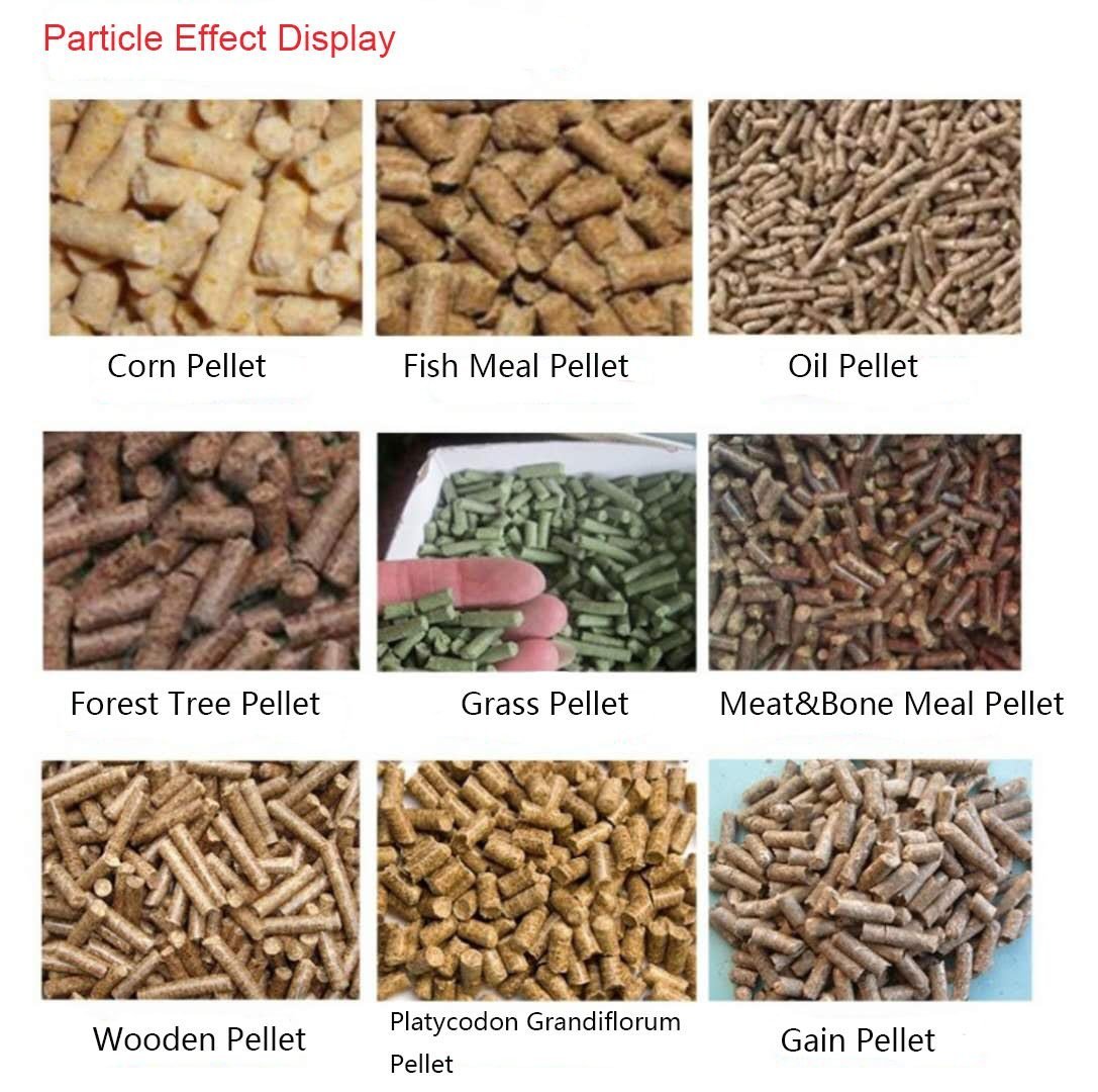 Poultry Feed Production Lines: Tailored Precision 4 Poultry Feed Production Lines: Tailored Precision - Image 4