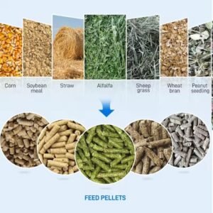 Concentrated Feed Production Line for Custom Solutions