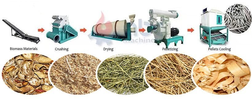 Concentrated Feed Production Line for Custom Solutions 3 Concentrated Feed Production Line for Custom Solutions - Image 3
